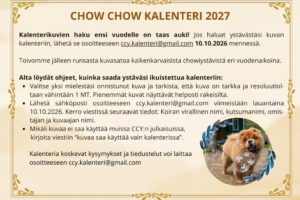 kalenteri2027