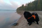 ChowimiittiPäihäniemi